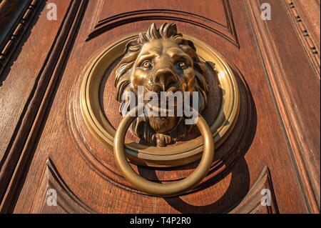 Tête de lion comme heurtoir sur la vieille porte de bois, 1815, l'ambassade d'Italie, Vienne, Autriche Banque D'Images