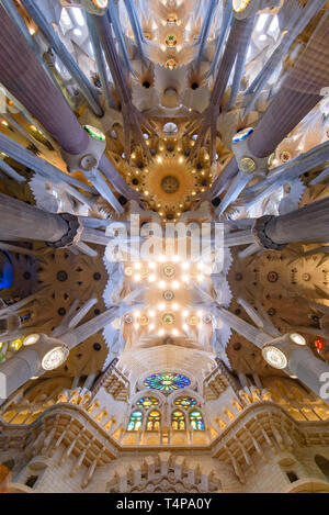 Le plafond de l'intérieur de la Sagrada Familia (église de la Sainte Famille), la cathédrale conçue par Gaudi à Barcelone, Espagne Banque D'Images