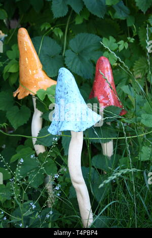 Trois souches de champignons à la main, Blanc et coloré caps Banque D'Images