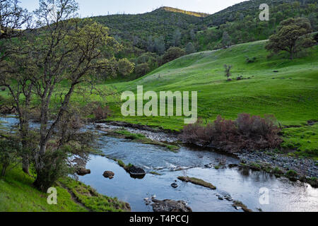 Bear Creek, Californie, Comté de Colusa Banque D'Images