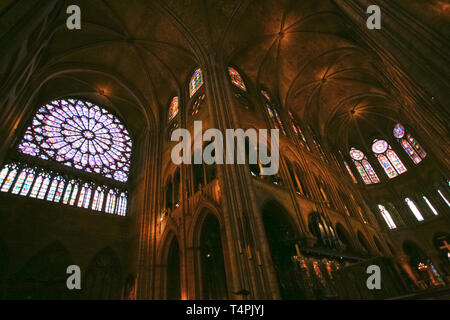 Notre Dame de Paris d'intérieur carhedral naverose window Banque D'Images