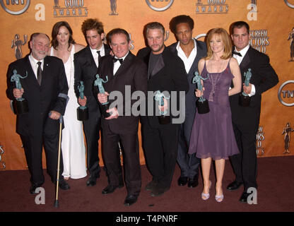 LOS ANGELES, CA. 05 février 2005 : CSI stars JORJA FOX, ROBERT DAVID HALL, ERIC SZMANDA, PAUL GUILFOYLE, WILLIAM PETERSEN, MARG HELGENBERGER, GARY DOURDAN, GEORGE EADS et à la 11e Conférence annuelle des Screen Actors Guild Awards au Shrine Auditorium. Banque D'Images