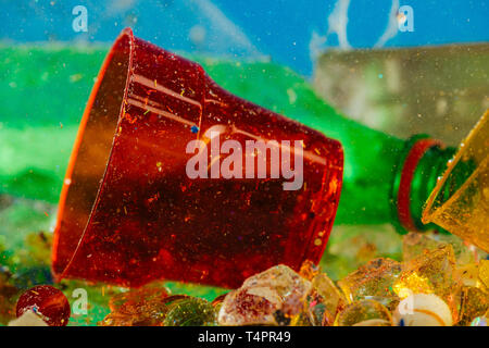 Disposition en plastique coloré. Tasse transparente rouge gisant au fond de l'eau avec des morceaux de plastique sous Banque D'Images