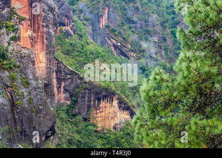 Mille collines Turtle, Lijiang, Yunnan, Chine Banque D'Images