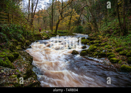 La rivière Twiss sur le sentier des chutes d''Ingleton, Yorkshire, Angleterre Banque D'Images