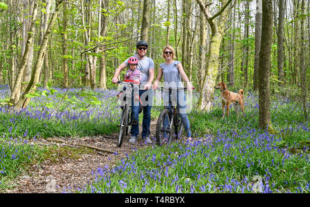 Brighton, Royaume-Uni. 18 avril 2019. Une famille profite d'une balade à vélo par une chaude journée ensoleillée à travers Stanmer Park à Brighton qui est tapissé de bluebells car le temps est prévu pour être chaud et ensoleillé pendant le week-end de Pâques avec des températures qui devraient atteindre plus de vingt degrés dans certaines parties du Sud-est crédit : Simon Dack/Alamy Live News Banque D'Images