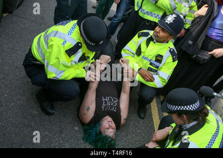 Waterloo Bridge. Londres, Royaume-Uni. 18 avr, 2019. Un militant écologiste de l'Extinction du mouvement de rébellion groupe est arrêté par la police le Waterloo Bridge, le quatrième jour de leur protestation contre le changement climatique. Credit : Dinendra Haria/Alamy Live News Banque D'Images