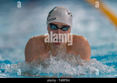 Glasgow, Royaume-Uni. 18 avr, 2019. Oliver O'Halleron (Derwentside) à Mens Open 400m GI pendant 3 jour de championnats de natation 2019 BRITANNIQUE A Tollcross International Swimming Center le jeudi 18 avril 2019 à Glasgow en Écosse. Credit : Taka G Wu/Alamy Live News Banque D'Images