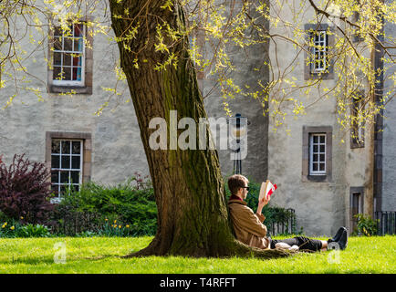 Royal Mile, Édimbourg, Écosse, Royaume-Uni, 18 avril 2019. Météo France : Un homme est assis au soleil, appuyé contre un arbre, lisant un livre en Cour Chessels Banque D'Images