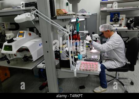 (190419) -- NEW YORK, 19 avril 2019 (Xinhua) -- Un technicien travaille dans une salle blanche à Yokneam, Mellanox Technologies en Israël le 17 avril 2019. Mellanox Technologies, un fabricant en Israël, a déclaré le 11 mars que le géant informatique américain Nvidia Corporation a accepté d'acheter pour environ 6,9 milliards de dollars US en espèces. L'accord marque le plus grand encore de sortie pour une entreprise high-tech israéliennes en 2019 et le troisième plus grand marché d'acquisition d'une société high-tech israélienne. Fondée en 1999, Mellanox est basé à New York, une ville du nord d'Israël. La société est un fournisseur d'ordinateur networki Banque D'Images