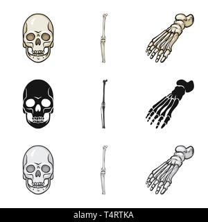 Crâne,Genou,Pied,la mort,joints,cheville,monster,sain,ménisque,le mal,body,horreur,podologie avant-pied,tatouage,jambe,DE,panneaux,chirurgie,tête,les pieds plats,dommage,oeil,circulation,l'enfer,les dents,cartilage,motion,médecine,clinique,biologie,médical,os,,squelette anatomie,des,organes,,set,icône,,illustration,collection,isolé,design,graphisme,élément vecteur vecteurs,signer , Illustration de Vecteur