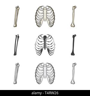 Fémur,rib cage brisée,,,jambe,xray,péroné,Genou,body,shin,tibia,dos,fracture,sternum sternum,alignement,calcium,douleur,chirurgie,médecine,clinique,biologie,médical,os,,squelette anatomie,des,organes,,set,icône,,illustration,collection,isolé,design,graphisme,élément,signe, vecteurs vecteur , Illustration de Vecteur