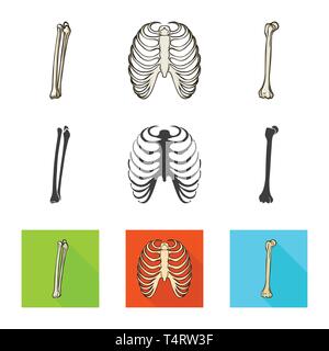 Fémur,rib cage brisée,,,jambe,xray,péroné,Genou,body,shin,tibia,dos,fracture,sternum sternum,alignement,calcium,douleur,chirurgie,médecine,clinique,biologie,médical,os,,squelette anatomie,des,organes,,set,icône,,illustration,collection,isolé,design,graphisme,élément,signe, vecteurs vecteur , Illustration de Vecteur