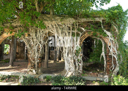 Rendez-Cong district, province de Tien Giang, Vietnam - Juillet 23, 2017 : Rendez-vous Tao temple, un ancien temple à Tan Thanh, rendez-Cong, province de Tien Giang, Vietnam Banque D'Images