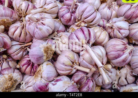 Marché aux légumes, pieu d'ail frais ampoule avec clowes Banque D'Images