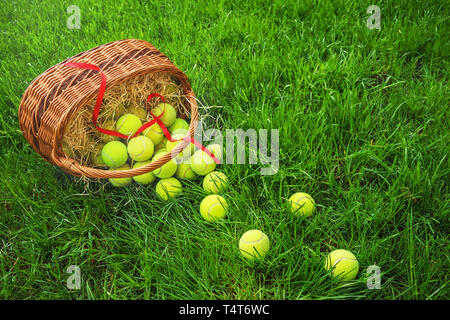 Tennis Pâques avec des balles de tennis dans un panier sur l'herbe verte dans la lumière du soleil. Banque D'Images