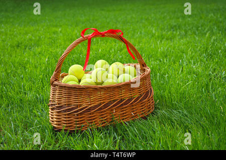 Les balles de tennis dans un panier sur l'herbe verte. Banque D'Images
