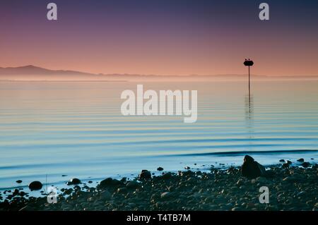 Coucher de soleil sur le lac de Constance à Lochau, Germany, Europe Banque D'Images