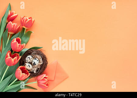 Mise à plat de Pâques sur papier orange avec copie-espace. Oeufs de cailles au nid d'oiseau, printemps tulipes, enveloppe et décorations florales Banque D'Images