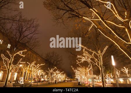 Les arbres illuminés, Unter den Linden, Berlin, Germany, Europe Banque D'Images