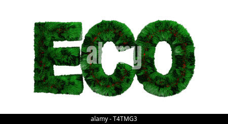 ECO FRIENDLY concep. La couleur verte de l'herbe sèche texte isolé eco cut out against white background, chemin de détourage. 3d illustration Banque D'Images