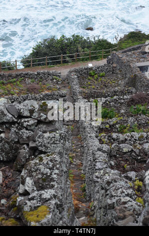 Vignobles traditionnels dans les pentes de Sao Lourenço, de la baie de Santa Maria, la côte est de l'îles des Açores Banque D'Images