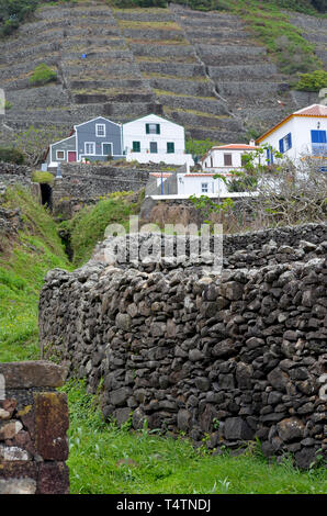 Vignobles traditionnels dans les pentes de Sao Lourenço, de la baie de Santa Maria, la côte est de l'îles des Açores Banque D'Images