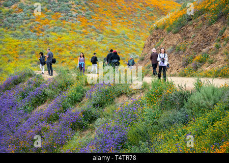 Lake Elsinore, Californie - le 20 mars 2019 : les photographes heureux et souriants et les touristes de prendre des photos et à pied de la piste à Walker Canyon, admirant la wi Banque D'Images