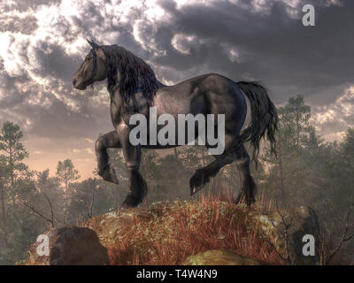 Au sommet de la colline se dresse un majestueux cheval avec un manteau gris foncé, yeux bruns, et d'une crinière et la queue noire. Les frais généraux, les nuages d'appréhension le ciel. Banque D'Images