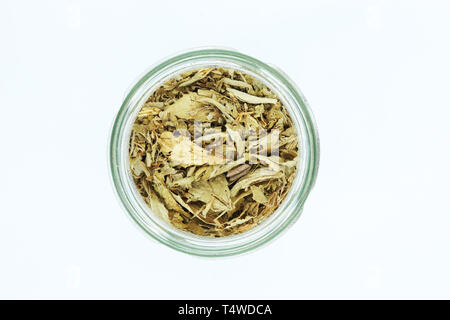 Les feuilles de stevia séchées en bouteille isolé sur fond blanc. Banque D'Images