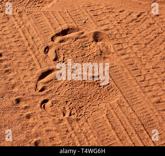 Un rhinocéros blanc empreinte dans le sable rouge Banque D'Images