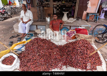 Poivron rouge en vendeur de légumes du marché,Mandi Sabzi, Bundi Bundi, Marché, état du Rajasthan, en Inde. Banque D'Images