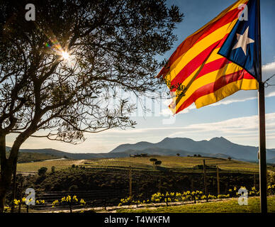 Le vin, la sierra et la mer. Il y a trois caves de vinification dans la réserve naturelle du Cap de Creus. Le drapeau catalan vole dans le domaine viticole de Martin Faixó. Cave de vinification à Roses, Catalunya, Espagne Banque D'Images