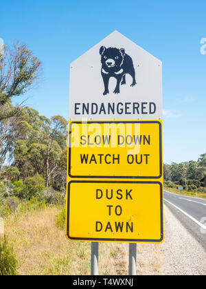 Diable de Tasmanie une pancarte à côté de la route B82 dans le nord de la Tasmanie, en Australie. Banque D'Images