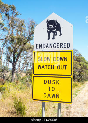 Diable de Tasmanie une pancarte à côté de la route B82 dans le nord de la Tasmanie, en Australie. Banque D'Images