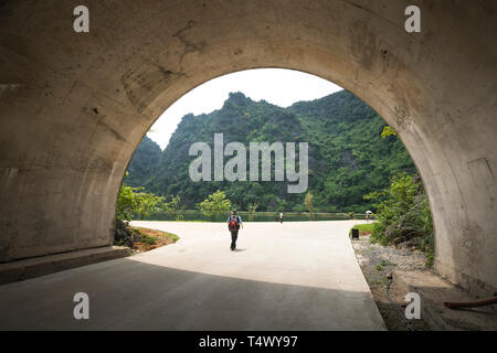 Canal avec l'eau verte et petite île au parc de la montagne calcaire Tuyet Tinh Coc view point. Attraction touristique populaire à Tam Coc, Ninh Binh. Banque D'Images