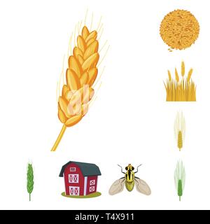 L'orge de printemps,grenier,voler,spike,graines,bâtiment,insectes,dur,Culture,hiver,industrie,lutte,farine,, pain, terre, automne, contrôle, de céréales de maïs de semence,,,arrêter,son,oreille,ailes,campagne,remise,maïs,blé,,grain,récolte,ferme,terrain,agriculture,agriculture,seigle,set,plantes,vector icon,illustration,collection,isolé,design,graphisme,élément signe,caricature,couleur,vecteurs vecteur , Illustration de Vecteur