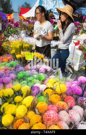 Clients au marché aux fleurs, juste de la nouvelle année lunaire, le parc Victoria, Hong Kong, SAR, Chine Banque D'Images