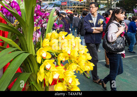 Marché aux fleurs de la nouvelle année lunaire, juste le parc Victoria, Hong Kong, SAR, Chine Banque D'Images