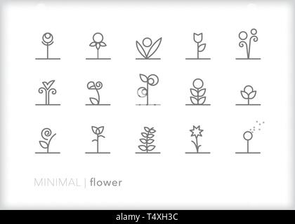 Ensemble de 15 icônes de ligne de fleurs abstraites de fleurs, bourgeons et feuilles poussant au printemps ou l'été sol Illustration de Vecteur