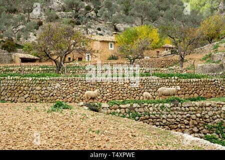 Chambre des Horts, Comellar des Horts, Soller, Majorque, Iles Baléares, Espagne, Europe. Banque D'Images