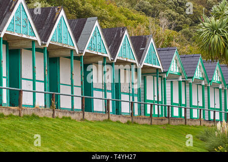 Cabines de plage vert et blanc à Langland Bay dans le sud du Pays de Galles, certains restaurés et d'autres toujours en mauvais état sur une fin de l'été en septembre. Le Pays de Galles. Banque D'Images