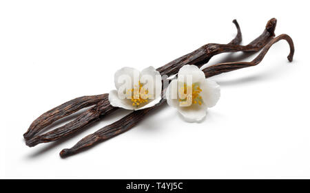 Bâtons de vanille avec fleurs de jasmin isolé sur fond blanc Banque D'Images