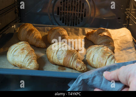 Des croissants sur la plaque de cuisson au four. Concept boulangerie française. Spécialiste culinaire cuisson vérifie l'état de préparation. Banque D'Images