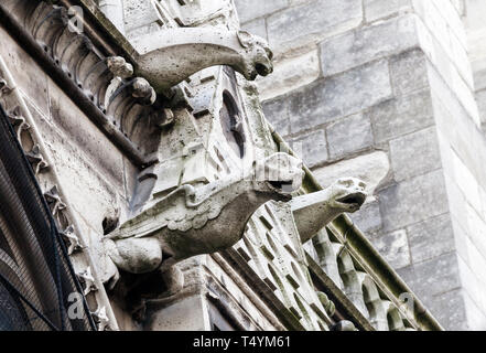 Les gargouilles de la Cathédrale Notre Dame de Paris Banque D'Images