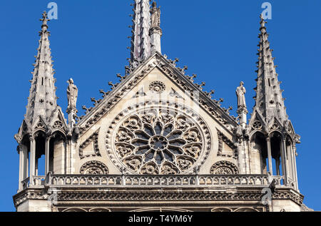 Le transept de la cathédrale Notre-Dame de Paris Banque D'Images