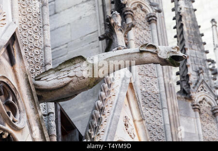 Gargouille de Cathédrale Notre Dame de Paris Banque D'Images