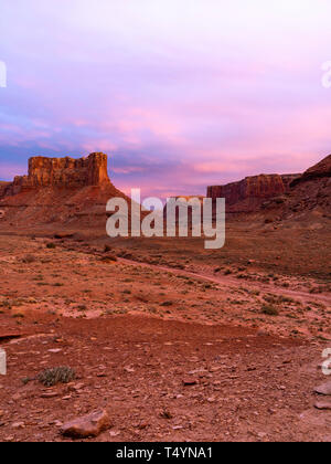 Droit de Taylor Canyon, une magnifique région de formations rocheuses dans une section à distance de l'île dans le ciel District de Canyonlands National Park, San J Banque D'Images