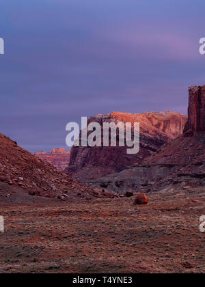 Droit de Taylor Canyon, une magnifique région de formations rocheuses dans une section à distance de l'île dans le ciel District de Canyonlands National Park, San J Banque D'Images