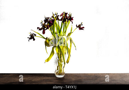 Tulipes rouges délavées dans vase en verre sur une table en bois rustique contre mur blanc Banque D'Images